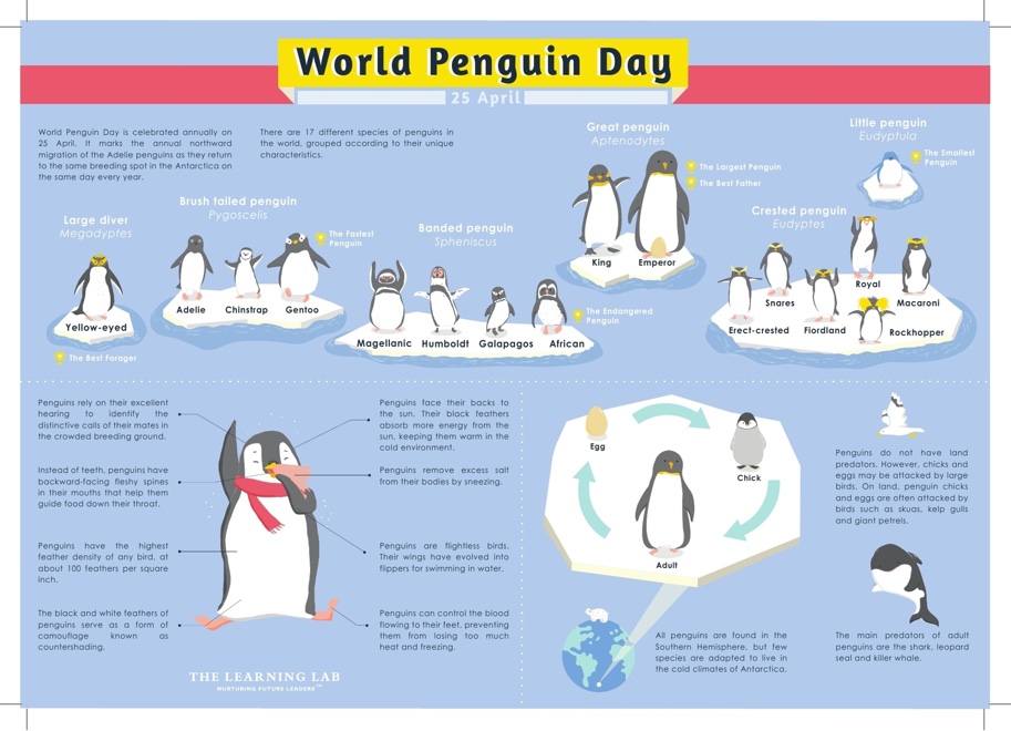 World Penguin Day The Learning Lab
