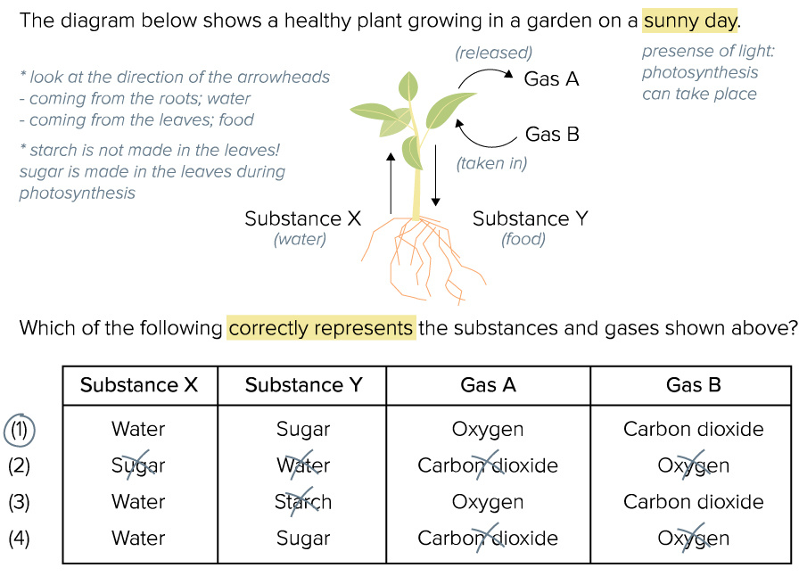 science question 2