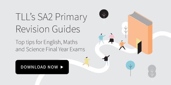 Download our SA2 Primary Revision Guide