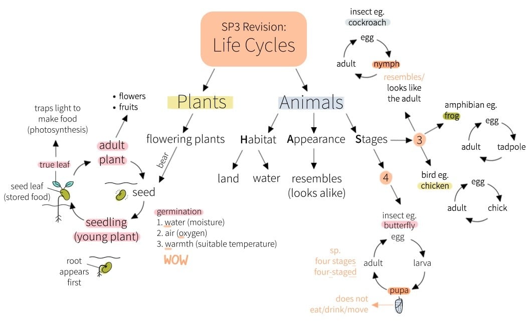 Science Concept Map